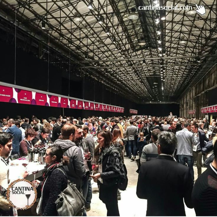 whatsapp-image-2016-11-14-at-16-05-12