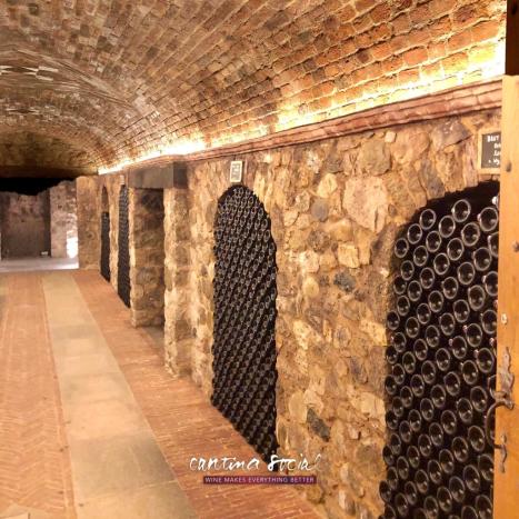 WhatsApp Image 2018-10-01 at 18.19.09 (2)